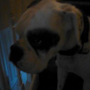 Profile Picture of Michaela Warden (@WardenMichaela) on Twitter