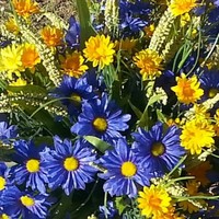 Profile Picture of Cathy Reyna (@cathy-reyna-2) on Quora