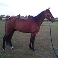 Profile Picture of Anne-marie Birch (@anne-marie-birch-1) on Quora