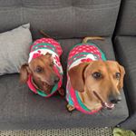 Profile Picture of Heather Watts (@heathernoelwatts) on Instagram