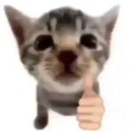 Profile Picture of Quemaditos D Tds Parts (@Quemaditos-D-Tds-Parts) on Facebook