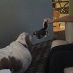 Profile Picture of Kim Frantz (@frantzkim) on Instagram