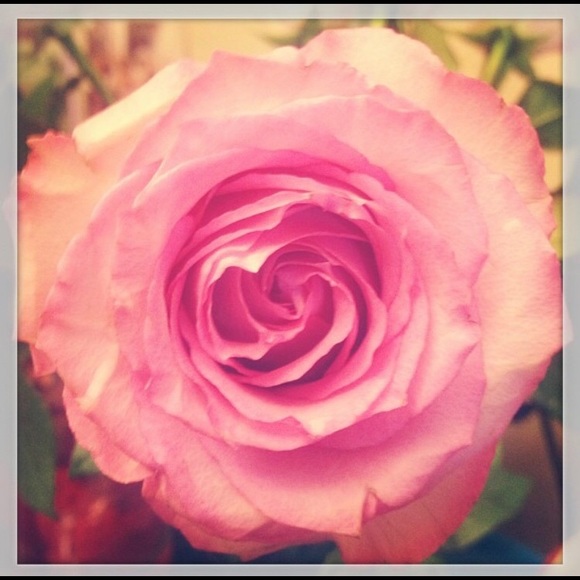 Profile Picture of Michelle Nasert (@moshy46) on Poshmark