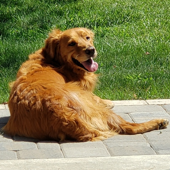 Steve Mckee - Poshmark Profile Picture of Steve Mckee (@stevemckee63) on Poshmark