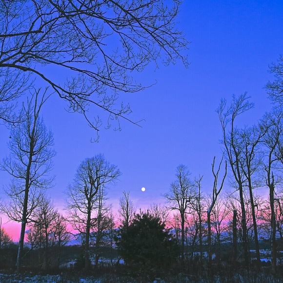 Profile Picture of Lawre Virts (@ldvirts) on Poshmark