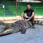 Profile Picture of Alexander Kolbl (@alexanderkolbl) on Instagram
