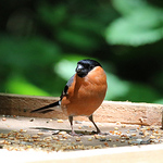 Profile Picture of James Michael Cooke (@jamesmichaelcooke) on Flickr