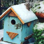 Profile Picture of Lori Beth Stargrove (@lstargrove) on Instagram