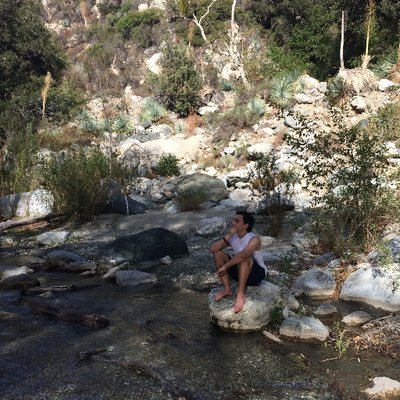 Profile Picture of Michael Luongo (@MikeLuongo_) on Twitter
