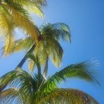 Profile Picture of Rachel Mazza (@rmazza8318) on Instagram