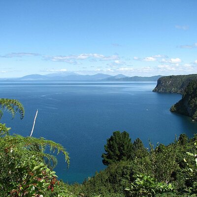 Profile Picture of Taupo (@taupo) on Twitter