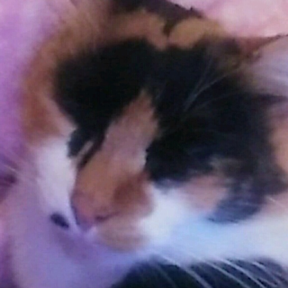 Profile Picture of Autumn Hays?ett (@autumnhayslett) on Poshmark