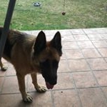 Profile Picture of Lucas Jones (@jones.lucas_) on Instagram