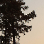 Profile Picture of Keb2386 (@keb2386) on Flickr