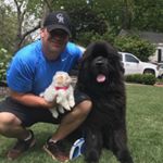 Profile Picture of Jared Sustakovitch (@jsgolfie) on Instagram