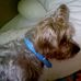 Profile Picture of Lindsay Branch (@lindsay.branch.925) on Facebook