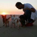 Profile Picture of Thomas Schumann (@schumimann) on Instagram