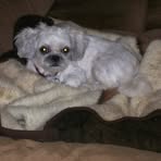 Profile Picture of Victor Hlushko (@victor.hlushko) on Facebook