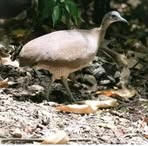 Profile Picture of Jacinto Calderon (@jacinto.calderon.940) on Facebook