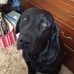 Profile Picture of Joe Graham (@joe.graham.35977897) on Facebook
