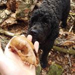 Profile Picture of declan moore (@declansdesigns) on Instagram