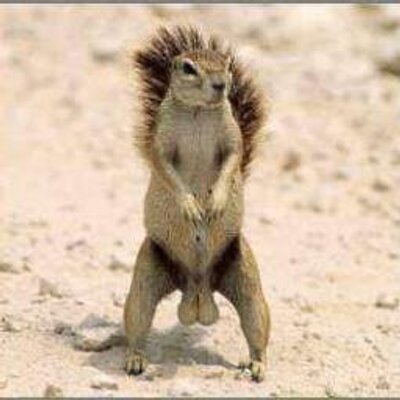 Profile Picture of David Sinton (@sintondavid) on Twitter