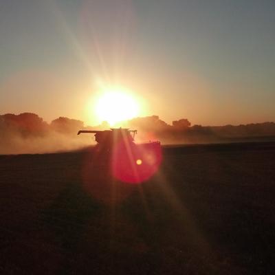 Profile Picture of Eric Eilert (@eemd12) on Twitter
