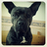 Profile Picture of Merche Maravé (@merxifuuu) on Flickr