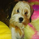 Profile Picture of Joseph Kerley (@josephkerley50) on Instagram