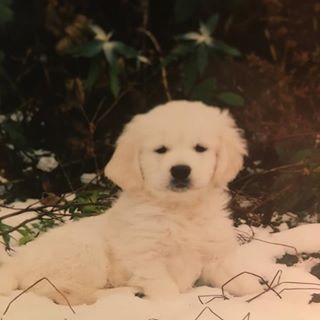 Greig Easton - Facebook Profile Picture of Greig Easton (@greig.easton.3) on Facebook