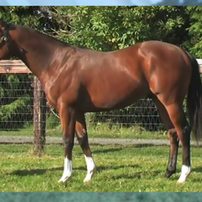 Ian Goldsmith - Twitter Profile Picture of Ian Goldsmith (@atthedistance) on Twitter