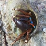 Profile Picture of Kyle Gilday (@memingful_memes) on Instagram