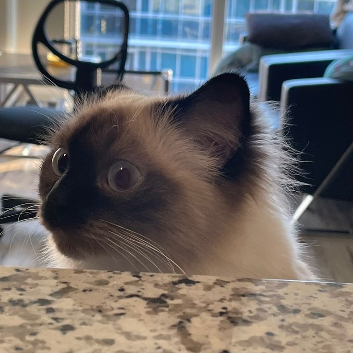 Profile Picture of jac (@jacquelineyeh) on Tiktok