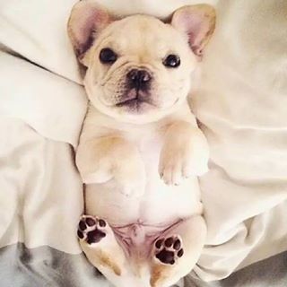 Profile Picture of Richard Ressler (@Richard-Ressler) on Facebook