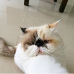 Profile Picture of Izydora (@i.z.y.d.o.r.a) on Instagram