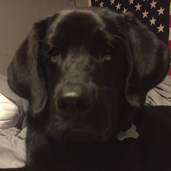 Profile Picture of Dustin Knutson (@dustknut) on Poshmark