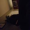 Profile Picture of Martin Minor (@@martinminor) on Tiktok
