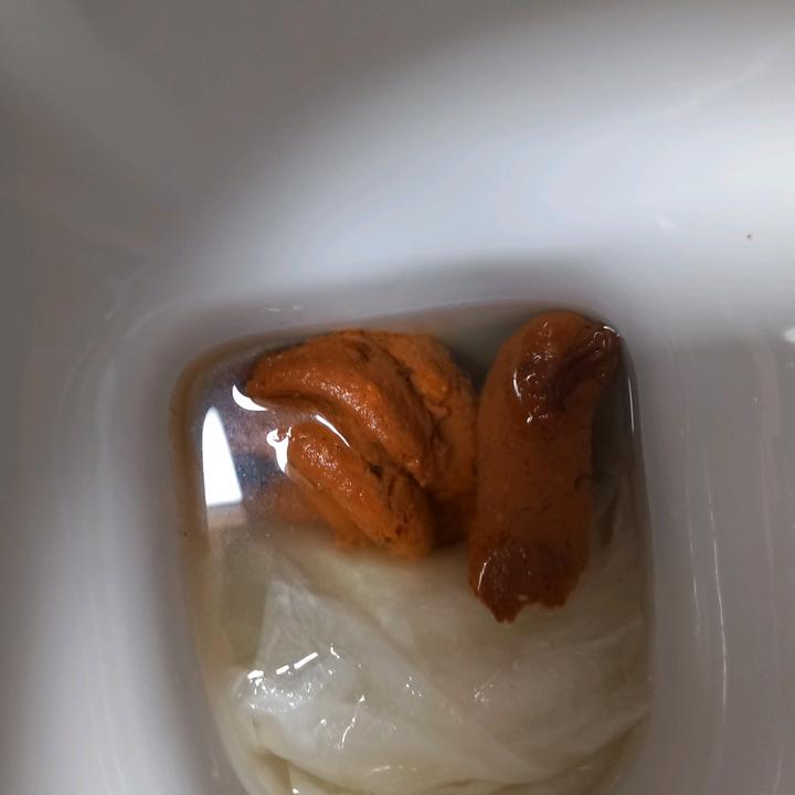 Profile Picture of Richard Slánský (@richard.slnsk) on Tiktok
