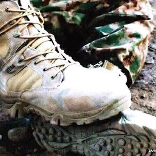 Profile Picture of Stump Max (@stump.max.1) on Facebook