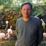 Profile Picture of Hernando Hoyos Barreto (@hernandohoyosbarreto2947) on Youtube