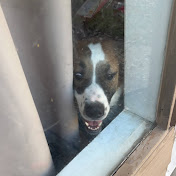 Profile Picture of Andrew Vaughn (@andrewtheasian8983) on Youtube