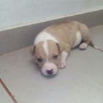 Profile Picture of aaronrickson70@gmail.com (@aaronrickson70) on Instagram