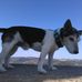 Profile Picture of Peter Selzer (@peter.selzer.92) on Facebook