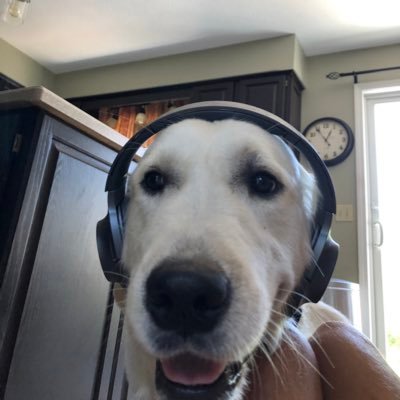 Profile Picture of Chris Lenhard (@clenhard12) on Twitter