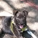 Profile Picture of Tyler Schol (@tyler.schol) on Facebook