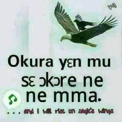 Profile Picture of Stephen Asamoah Boateng (@Stephen81662179) on Twitter