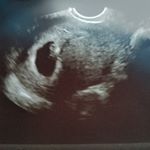 Profile Picture of Naphtali Alexander Fontes (@naphtali_alexander) on Instagram