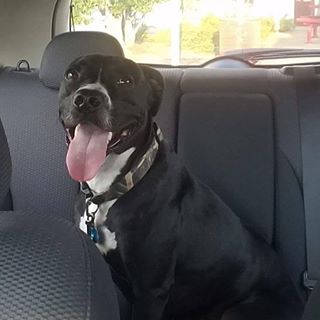 Profile Picture of Barry Kaylor Lee (@barrykaylor.lee.7) on Facebook