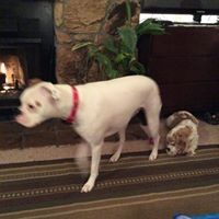 Profile Picture of Barry Douglas (@huahin1957) on Pinterest