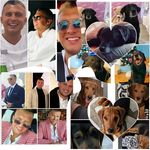 Profile Picture of 🐶🐶🐶🐶 Lucky karić❤❤❤❤S (@lacky_karic_s) on Instagram